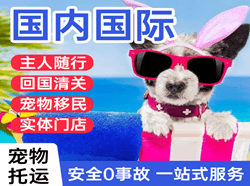 昭通机场快运国际宠物托运 【国
